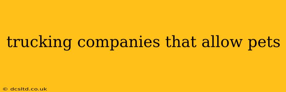 trucking companies that allow pets