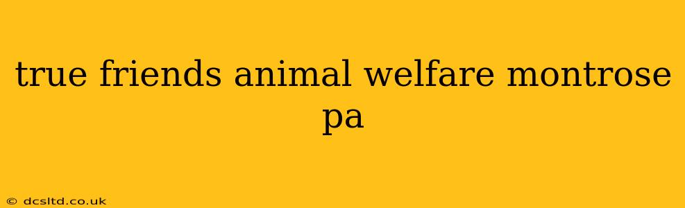 true friends animal welfare montrose pa