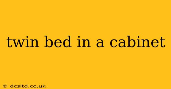twin bed in a cabinet