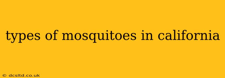 types of mosquitoes in california