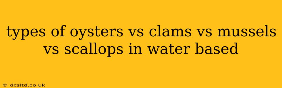 types of oysters vs clams vs mussels vs scallops in water based