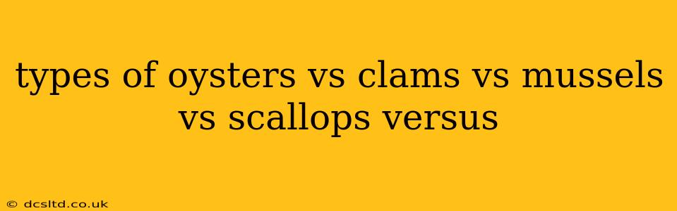 types of oysters vs clams vs mussels vs scallops versus