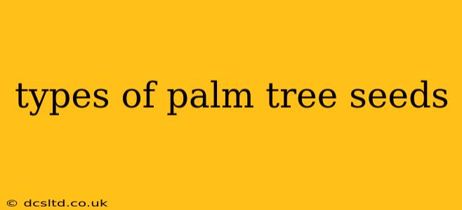 types of palm tree seeds