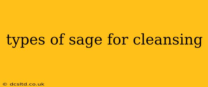 types of sage for cleansing