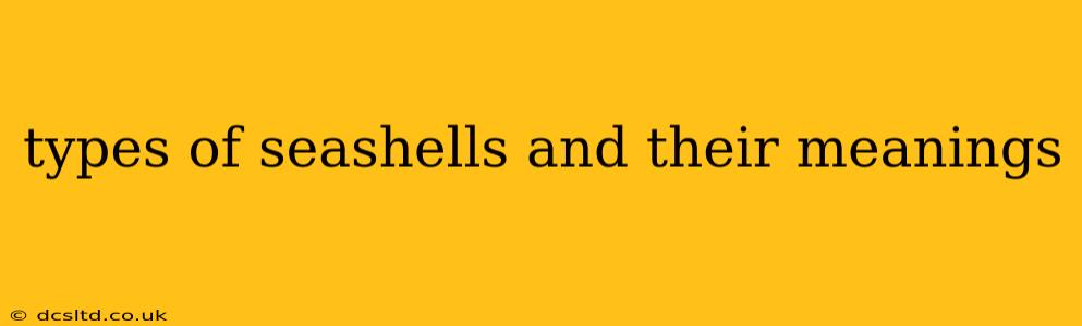 types of seashells and their meanings