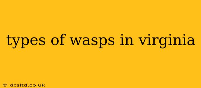 types of wasps in virginia