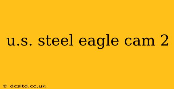 u.s. steel eagle cam 2