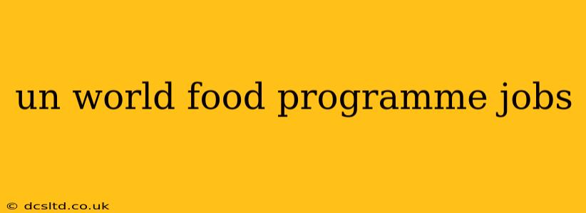 un world food programme jobs