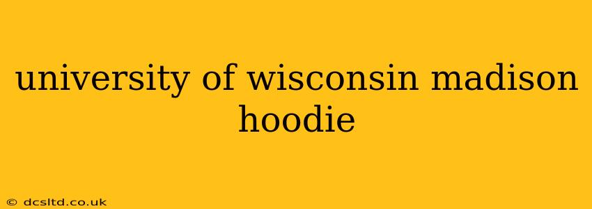 university of wisconsin madison hoodie