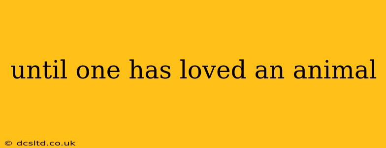 until one has loved an animal
