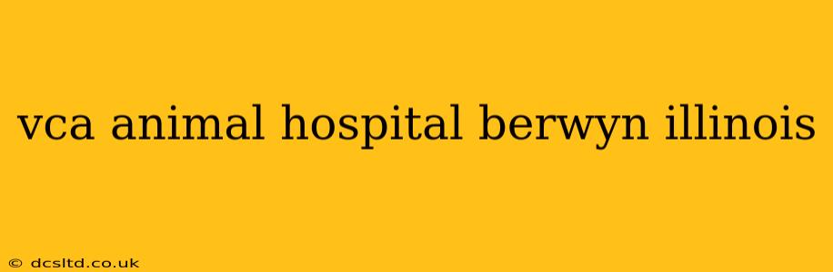 vca animal hospital berwyn illinois