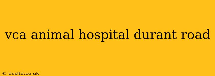vca animal hospital durant road