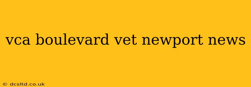vca boulevard vet newport news