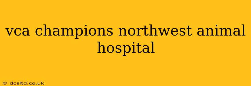 vca champions northwest animal hospital