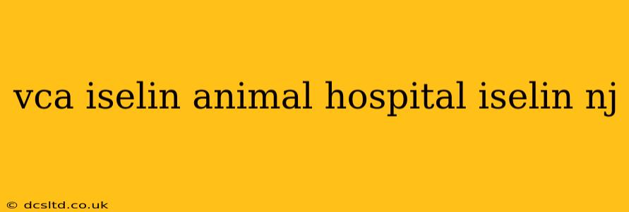 vca iselin animal hospital iselin nj