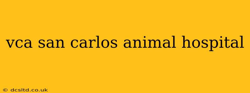 vca san carlos animal hospital