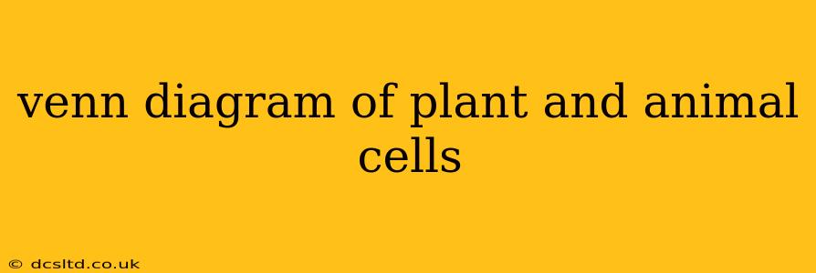 venn diagram of plant and animal cells
