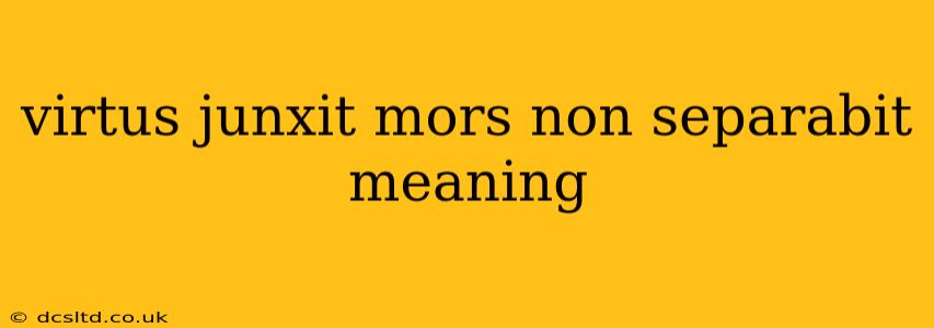 virtus junxit mors non separabit meaning