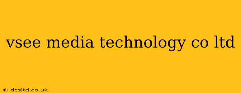 vsee media technology co ltd