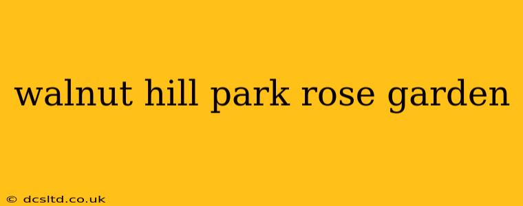 walnut hill park rose garden