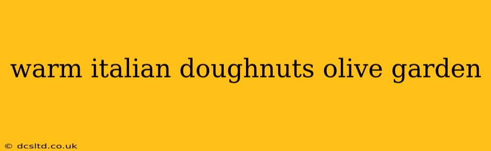 warm italian doughnuts olive garden