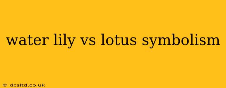 water lily vs lotus symbolism