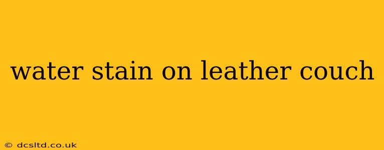 water stain on leather couch