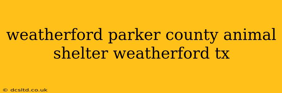 weatherford parker county animal shelter weatherford tx
