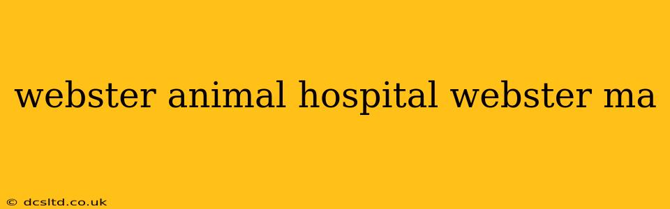 webster animal hospital webster ma