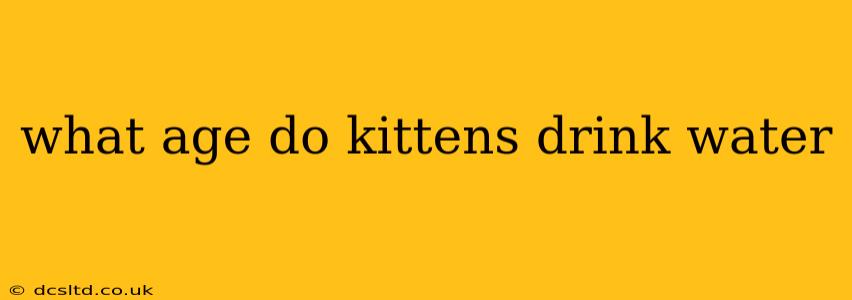 what age do kittens drink water