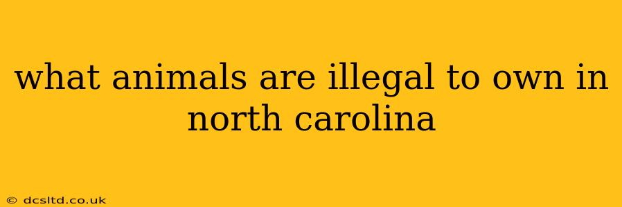 what animals are illegal to own in north carolina