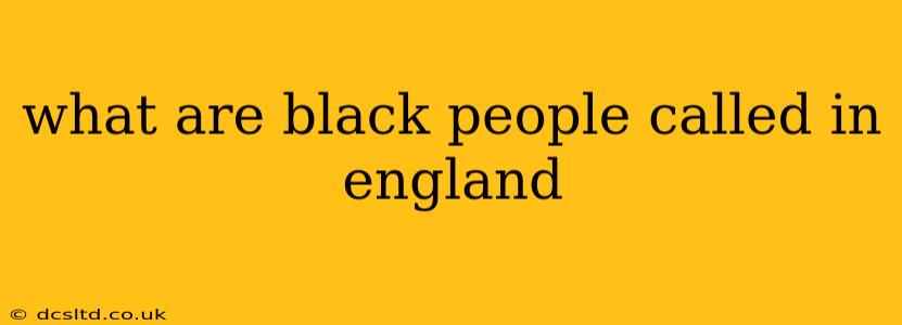 what are black people called in england