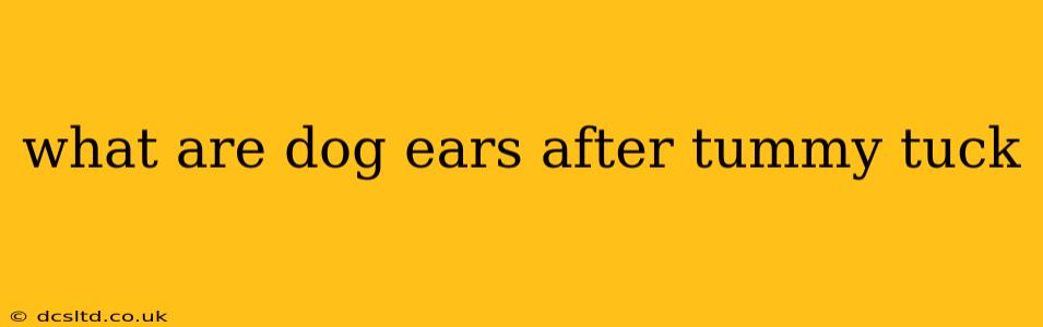 what are dog ears after tummy tuck
