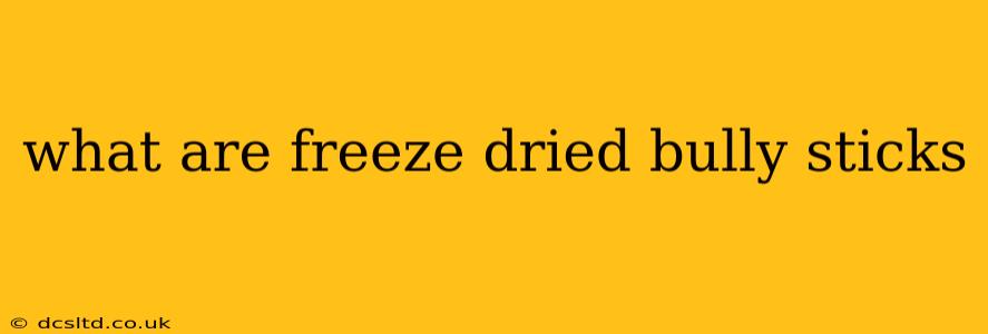 what are freeze dried bully sticks