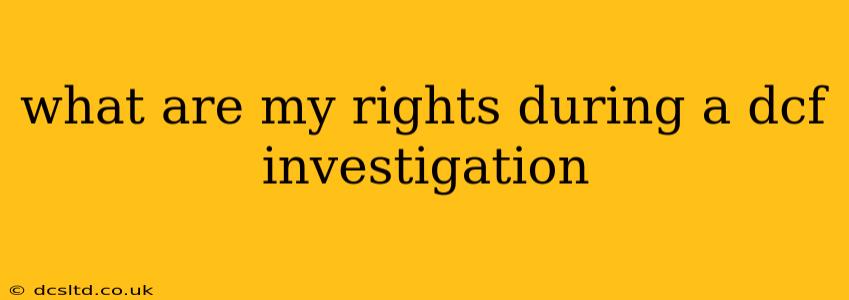 what are my rights during a dcf investigation