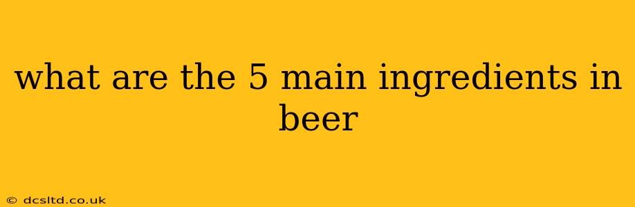 what are the 5 main ingredients in beer