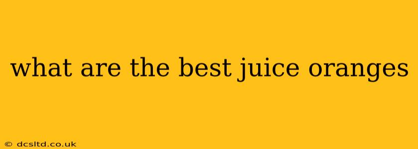 what are the best juice oranges