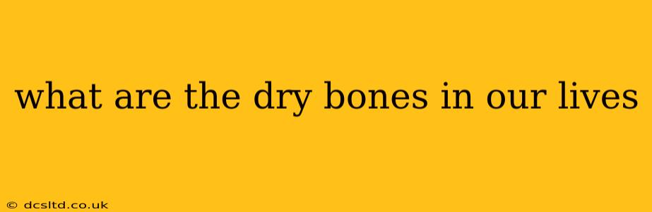 what are the dry bones in our lives