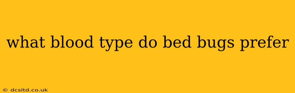 what blood type do bed bugs prefer