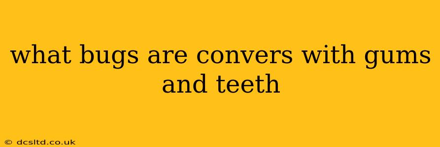 what bugs are convers with gums and teeth