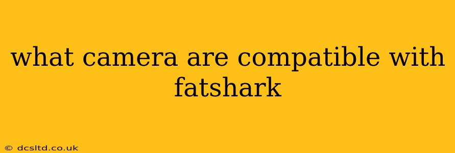 what camera are compatible with fatshark