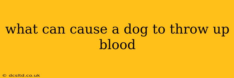 what can cause a dog to throw up blood