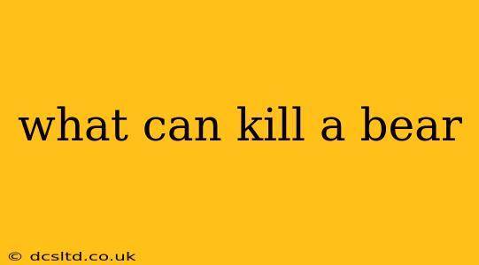 what can kill a bear