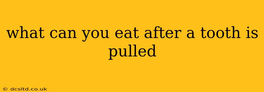 what can you eat after a tooth is pulled