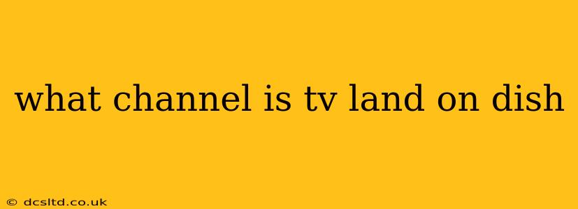 what channel is tv land on dish