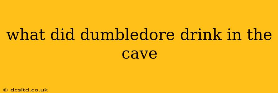 what did dumbledore drink in the cave