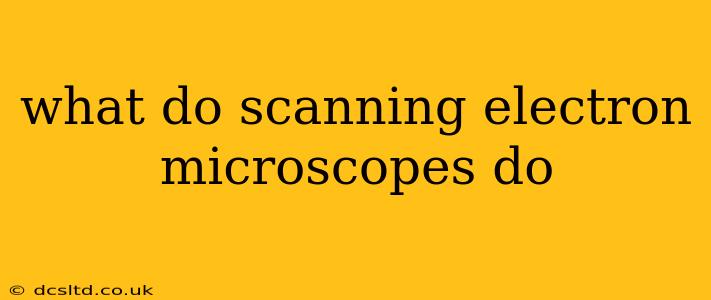 what do scanning electron microscopes do