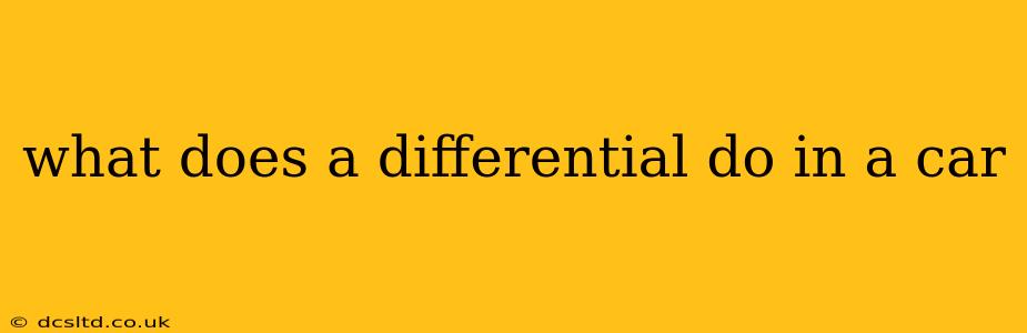 what does a differential do in a car