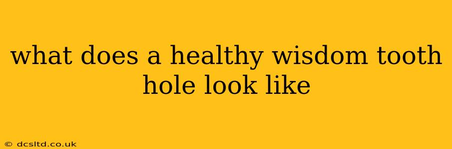 what does a healthy wisdom tooth hole look like