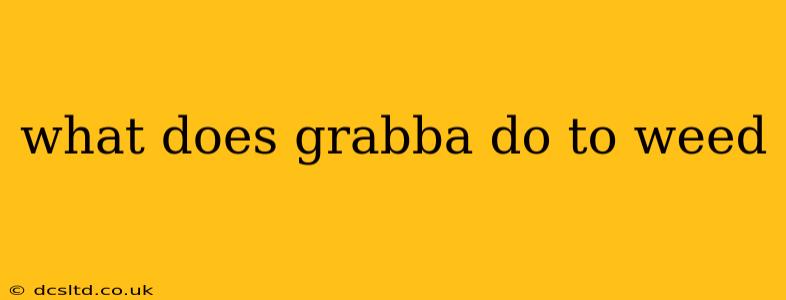 what does grabba do to weed
